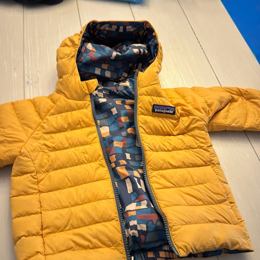 Patagonia reversible down sweater hoody coat
